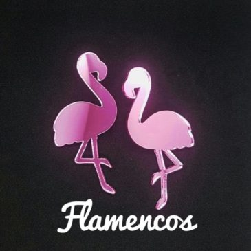 Pendientes flamencos